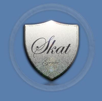 Privacy in Skat game